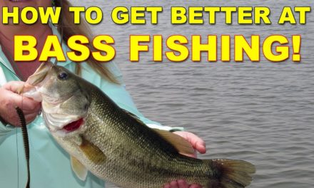 How Do You Get Good At Bass Fishing? | Bass Fishing