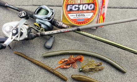 Spring Bass Fishing Buyer's Guide