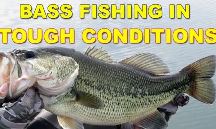 Spring Bass Fishing In Tough Conditions | Bass Fishing