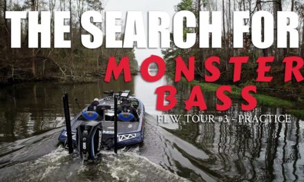 Scott Martin Pro Tips – The Search For MONSTER BASS – FLW Tour #3 Lake Seminole