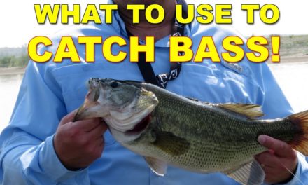 What do I use to catch bass? | Bass Fishing