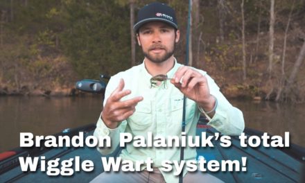 Brandon Palaniuk's total Wiggle Wart system for bass 👊