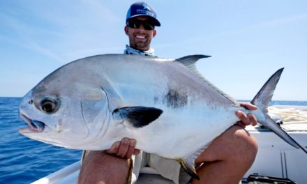 BlacktipH – Fishing for GIANT Offshore Permit