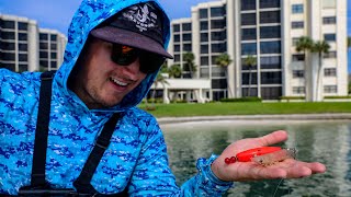 Lawson Lindsey – Fishing with Live SHRIMP The EASIEST Way To Catch Saltwater Fish + Insane Day of Fishing