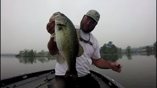 How To Catch Bass During The Shad Spawn
