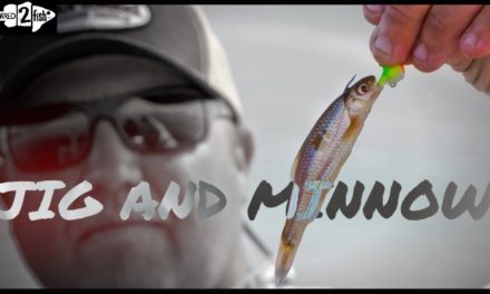 How to Fish a Jig and Minnow for Spring Walleyes