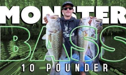 How to Fish for MONSTER Bass on a River (10lb Bass & 25lb Bag)