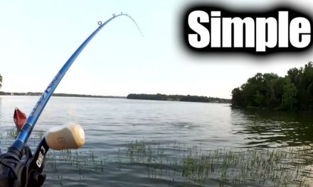One Simple Tip to Catch More Bass – Try Evening Bass Fishing!