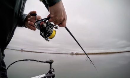 The Best Rod, Reel & Line for Jerkbait Fishing