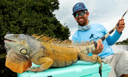 BlacktipH – Caught a HUGE IGUANA while Canal Fishing!!