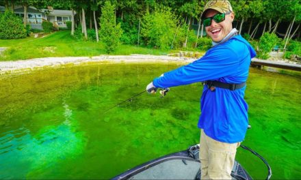 Lunkers TV – Exploring New Water to find Big Fish!