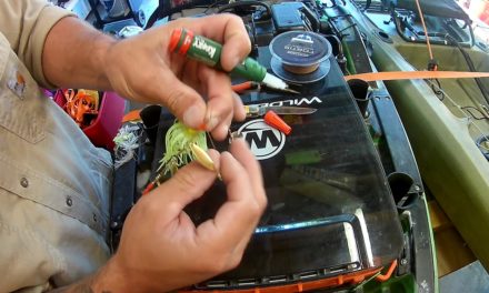 FALL SPINNERBAIT TRICKS THAT CATCH MORE FISH!