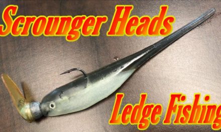 Ledge Fishing with a Scrounger Head