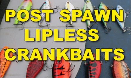 Post Spawn Lipless Crankbaits: The Ultimate Guide | Bass Fishing