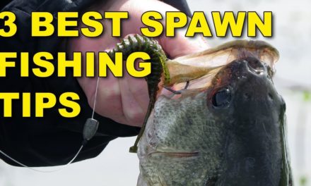The Best Spawn Fishing Tips (Because They Work!) | Bass Fishing