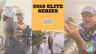 Bassmaster – 2019 Bassmaster Elite Series Mid-Season Big Bass Highlights