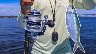 Lawson Lindsey – Fishing with Huge Live Whitebaits For BIG Saltwater Fish