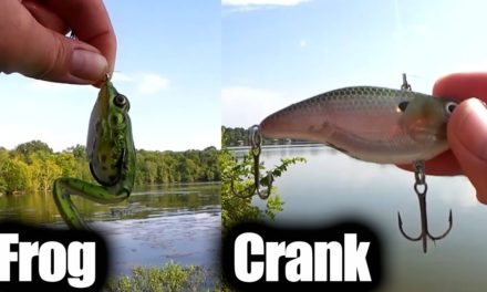 Frog Vs Crankbait! Which Fishing Lure Catches More Bass? (Realistic)