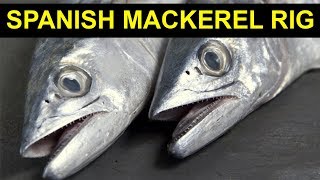 Salt Strong | – The Ultimate Spanish Mackerel Rig (Catches Mackerel Anywhere)