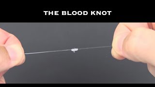 Salt Strong | – Tying The Blood Knot Tutorial