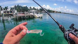 Lawson Lindsey – Weird Random Inshore Fish Catches Save the Day