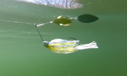 Willow Blade Spinnerbaits | What Your Lures Look Like Underwater!