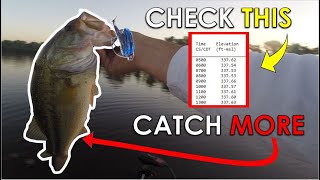 #1 Factor You Ignore When Fishing Shallow For Summer Bass