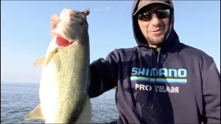 Bassmaster – Cayuga Lake: Early big fish action on Day 2 of Bassmaster Elite