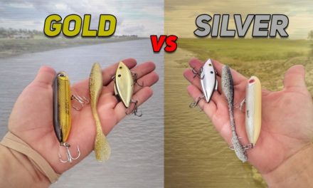 Gold vs Silver Fishing Lure Challenge (HUGE Bass!)