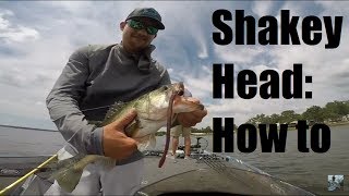 Lake Fork Bass Fishing: Big Shakey Head Tips and Techniques