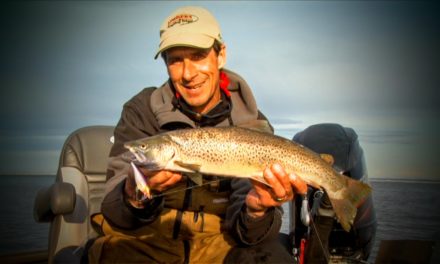 Lake Superior Brown Trout – Lindner’s Fishing Edge 2014 S7