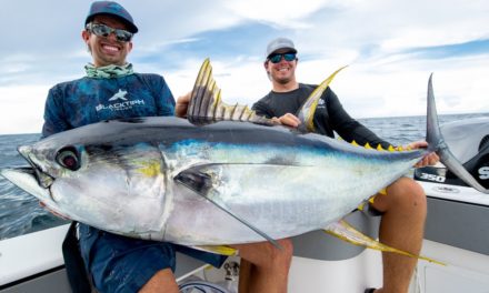 BlacktipH – Monster Yellowfin Tuna!!