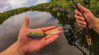Lawson Lindsey – Ridiculously Stupid Lure Catches Multiple BIG Fish | The Hunt for a New PB