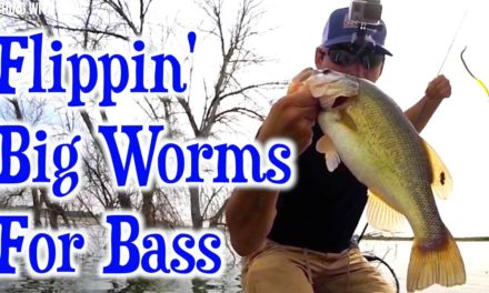 Flair – Bass Fishing with Big Worms – GoPro