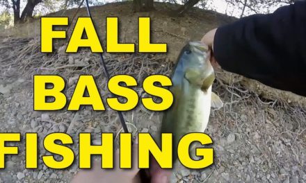 Fall Bass Fishing Tips and Techniques Proven To Work! | Bass Fishing