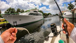 Lawson Lindsey – Fishing Underneath Multi Million Dollar Yachts