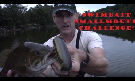 Smallmouth Bass Crushes Giant Swimbait (Bass Fishing Northern Michigan)