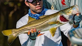 Backcountry Snook Fishing the Florida Everglades