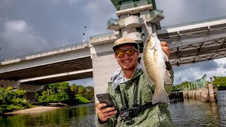 Lawson Lindsey – Bridge Fishing with Live Bait for Snapper {Catch and Cook}
