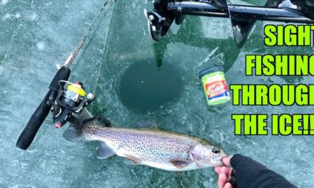 CRAZIEST Ice Fishing Day of my Life!!! (SIGHT-FISHING Through the Ice)
