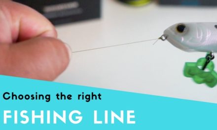 How to Choose the Right Fishing Line (Fishing Line Breakdown)