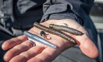 How to Fish Ned Rigs Year-Round