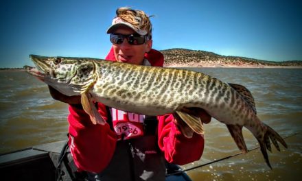 New Mexico Musky – Lindner’s Fishing Edge 2015 S3