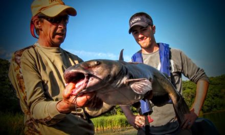 River Catfish – Lindner’s Fishing Edge 2015 S4
