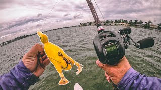 Lawson Lindsey – Saltwater Duck Lure Challenge + Giant Fish Destroy The Duck!