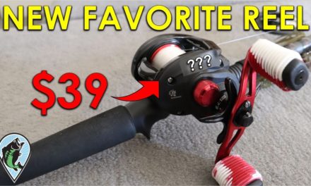 Stop Wasting Money on Expensive Fishing Reels | Abu Garcia Black Max Review