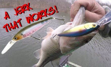 THIS JERKBAIT CRUSHES FISH!! And YOU CAN AFFORD IT
