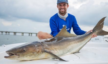 BlacktipH – We caught our Cobia Limit! Catch N Cook