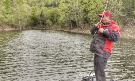 Why You Need a Spinning Rod for Bass Fishing