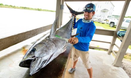 BlacktipH – Yellowfin Tuna, Wahoo, Cobia & Dolphin Fish | Clean N Cook